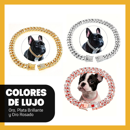 Collar de Lujo para Perros 💎⛓
